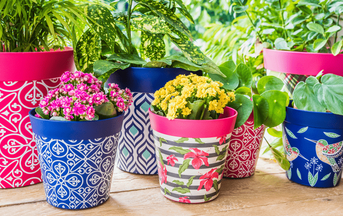 hum flower pots decorated with IML